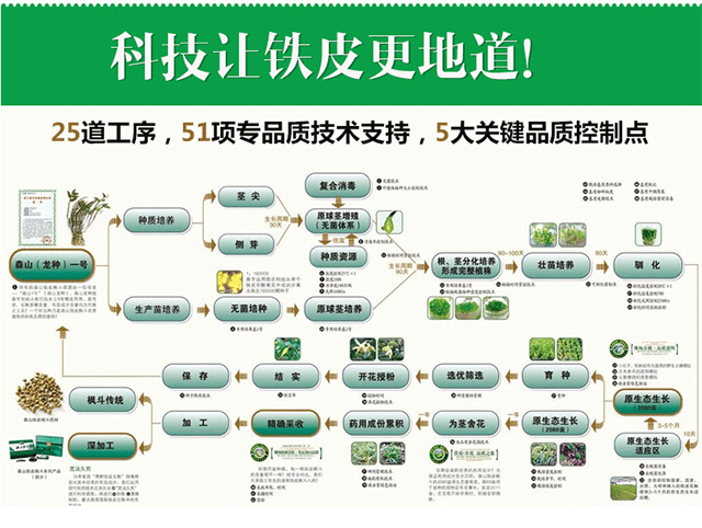 森宇控股集團(tuán)