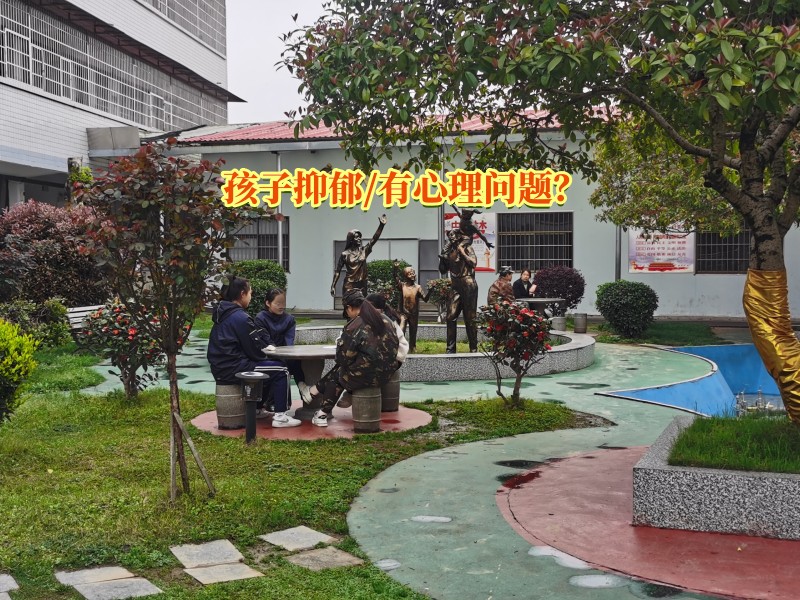 心理輔導學校,抑郁癥治療學校