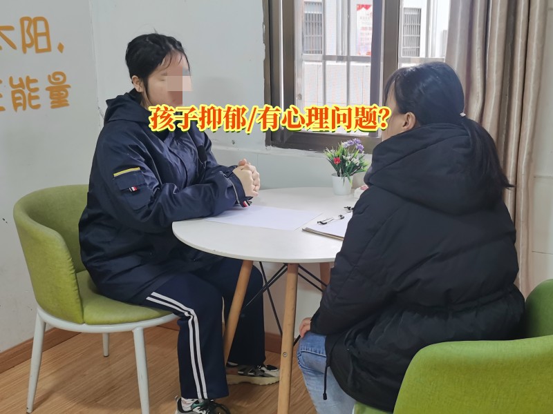 心理輔導(dǎo)學(xué)校,抑郁癥治療學(xué)校