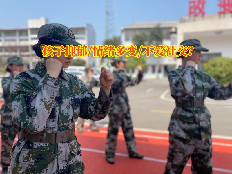 心理輔導(dǎo)學(xué)校,抑郁癥治療學(xué)校