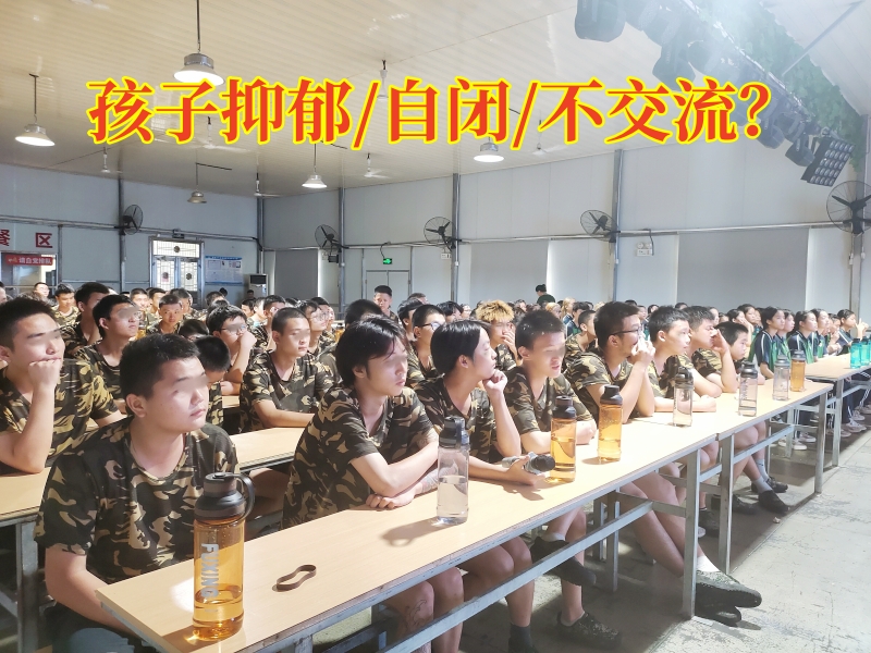 心理輔導學校,心理咨詢機構