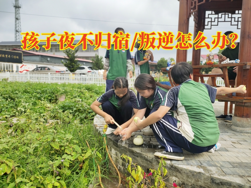 叛逆孩子學校,叛逆教育學校