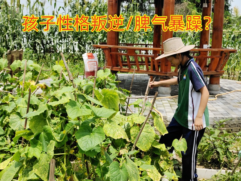 叛逆孩子管教學校,叛逆孩子教育學校
