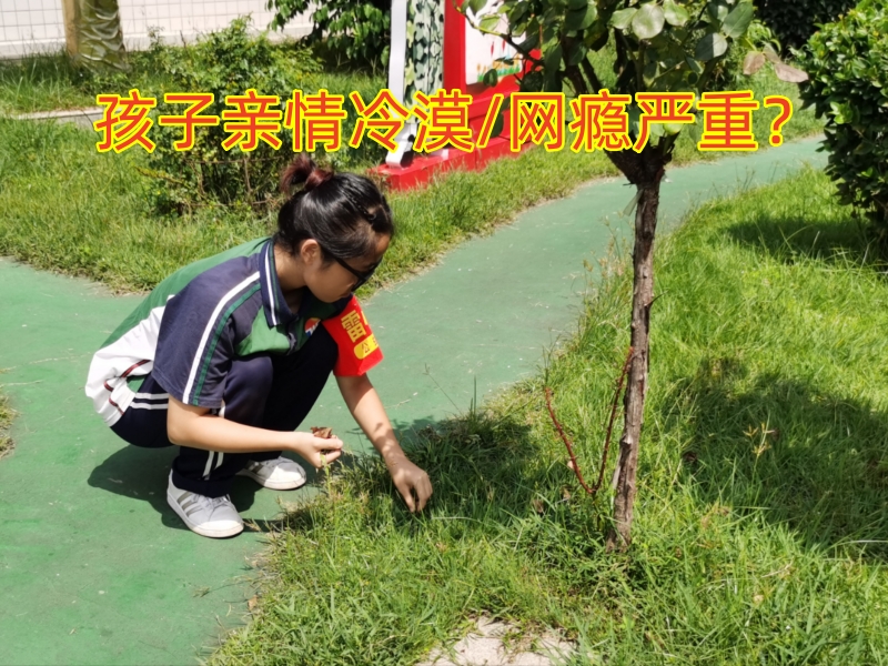 戒網癮學校,戒網癮教育學校