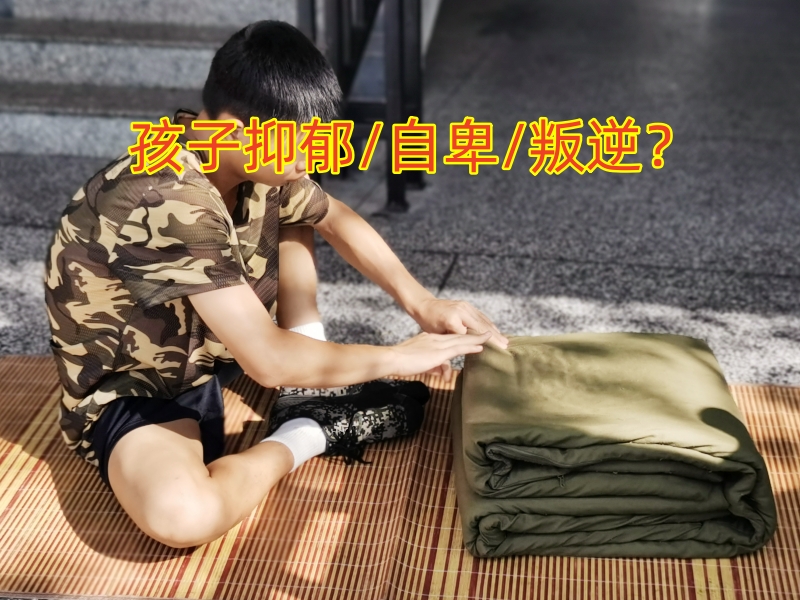 心理輔導(dǎo)學(xué)校,抑郁癥治療學(xué)校