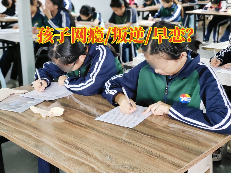戒網癮學校,戒網癮教育學校