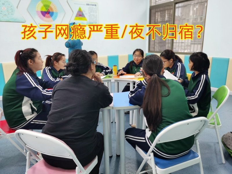 行為矯正學(xué)校,正規(guī)的青少年矯正學(xué)校