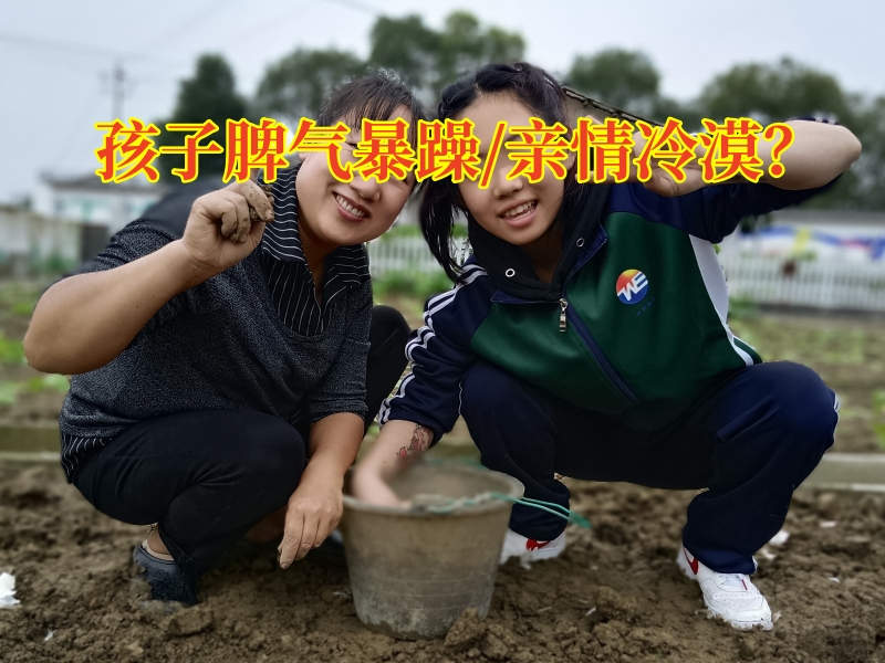 家長該怎么幫助脾氣暴躁的孩子穩(wěn)定情緒？