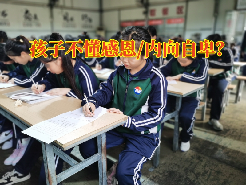 青少年素質(zhì)教育基地對孩子不懂感恩的原因分析