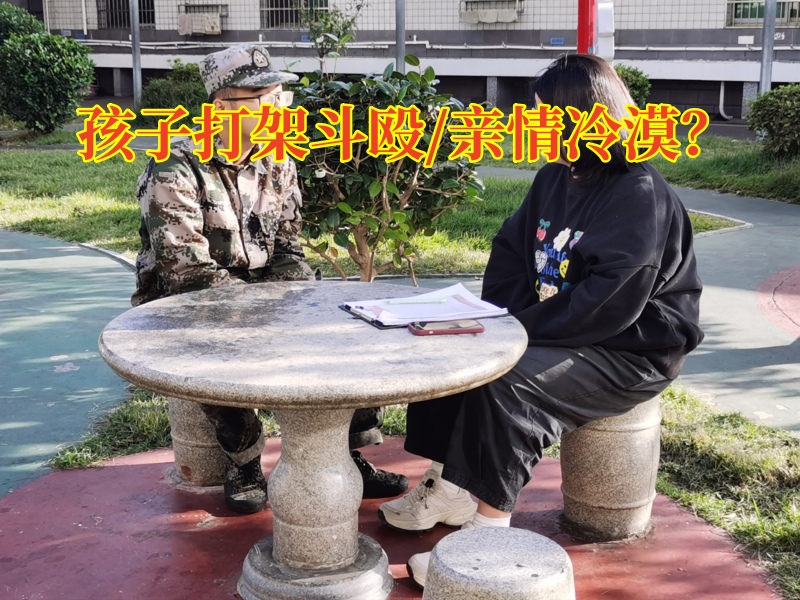 特訓教育學校：孩子們為什么喜歡打架？