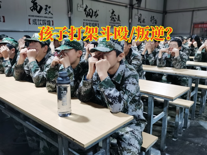 青少年管教中心對孩子打架斗毆的建議，青少年管教中心