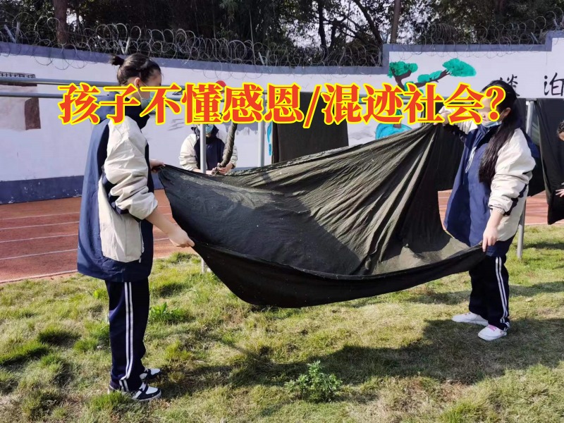 正規勵志教育學校：孩子長大后為何不懂得感恩？