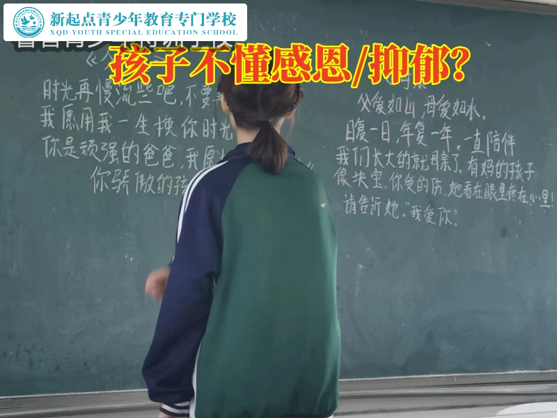 不懂感恩，正規封閉式叛逆孩子學校針對孩子不懂感恩
