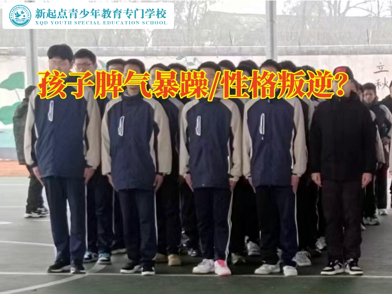 叛逆青年教育學(xué)校正確疏導(dǎo)孩子的暴躁脾氣