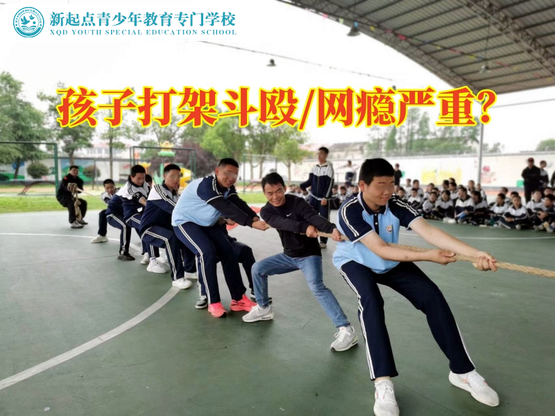 封閉式特訓學校分析孩子打架的危害