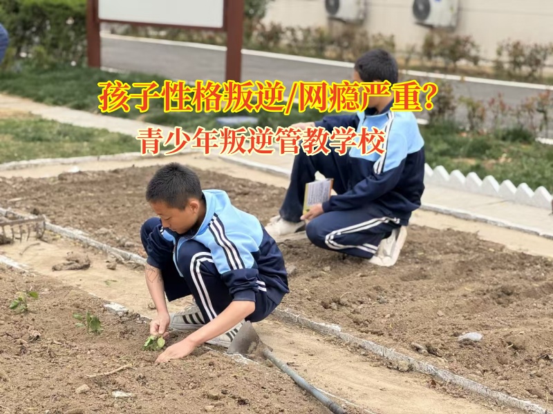 青少年叛逆管教學(xué)校矯正孩子沉迷網(wǎng)絡(luò)小說(shuō)