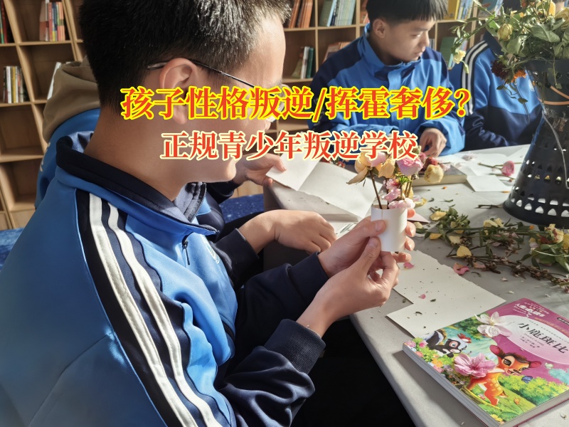 正規青少年叛逆學校教育孩子抵制不必要消費