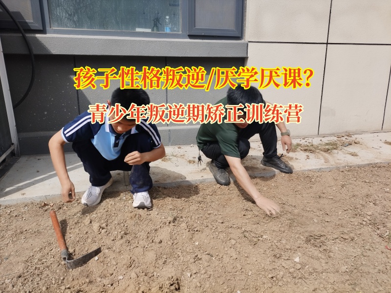 青少年叛逆期矯正訓練營矯正高中生不上學現象
