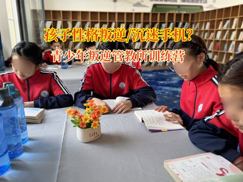 青少年叛逆管教所訓練營應對孩子通宵玩手機的科學之策