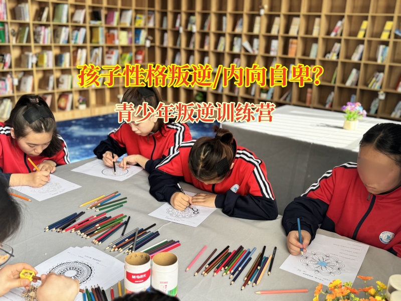 青少年叛逆訓(xùn)練營(yíng)打破內(nèi)向枷鎖