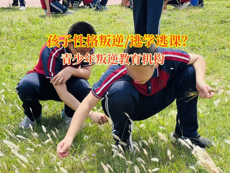 青少年叛逆教育機構幫助孩子破逃學困局