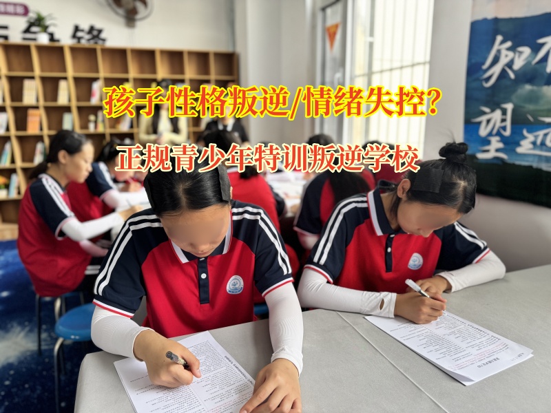 正規青少年特訓叛逆學校矯正孩子情緒失控問題