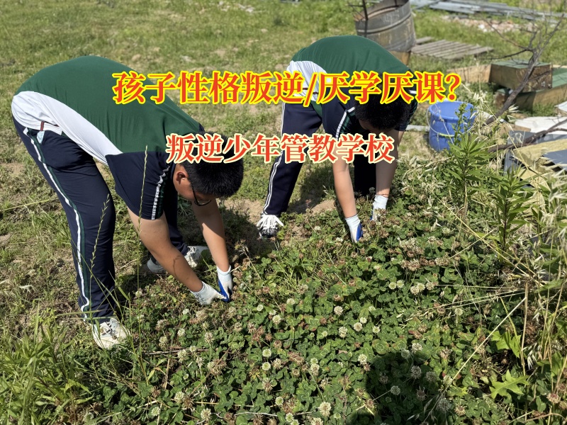 叛逆少年管教學(xué)校有效矯正孩子厭學(xué)問題
