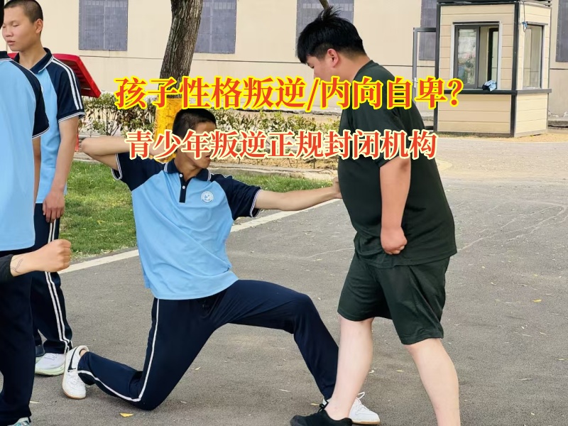 青少年叛逆正規(guī)封閉機構(gòu)重視青少年無主見問題