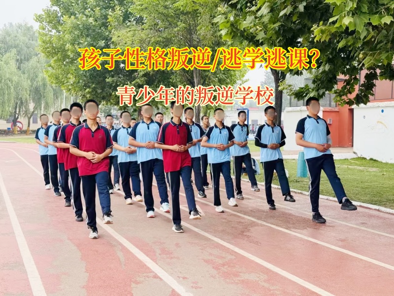 青少年的叛逆學校巧用方法激發孩子學習興趣