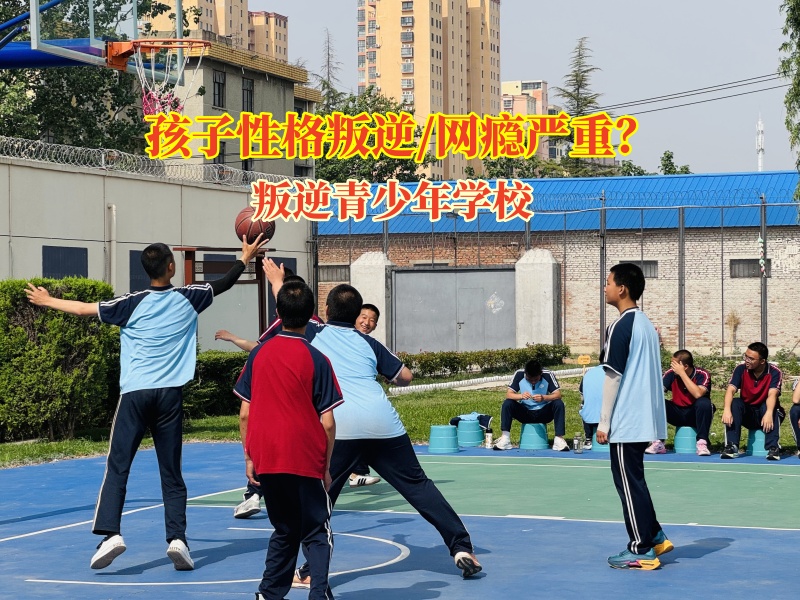 揭秘叛逆青少年學校學費