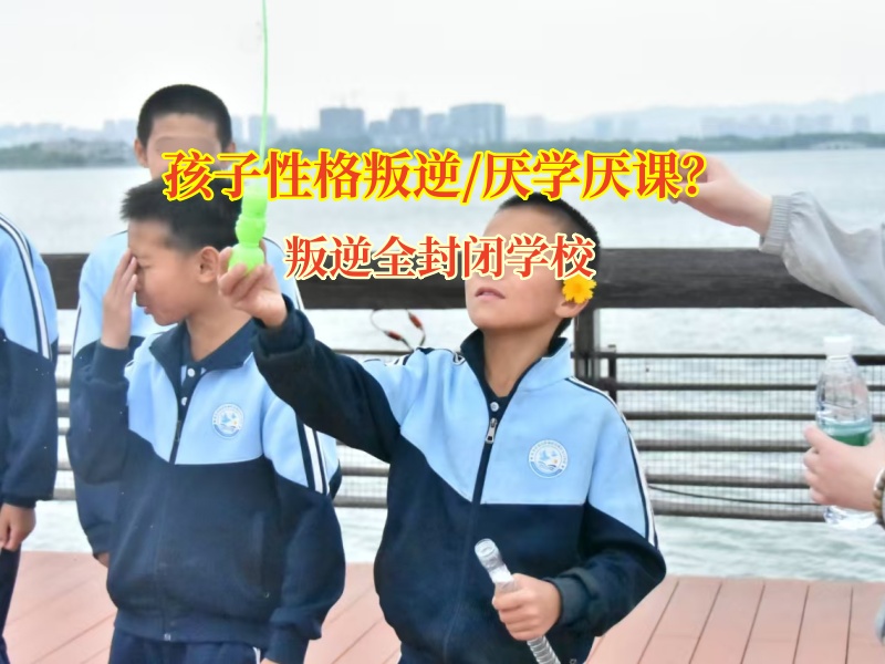 叛逆全封閉學(xué)校破解初中孩子不愛寫作業(yè)難題