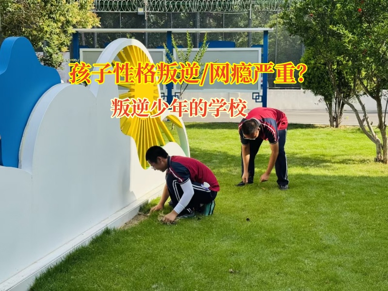 叛逆少年的學校化解孩子攀比心理
