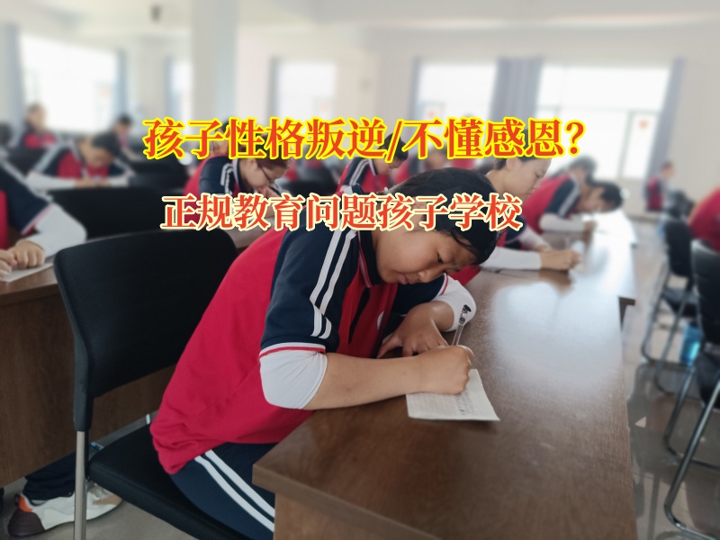 正規教育問題孩子學校為孩子種下感恩的種子