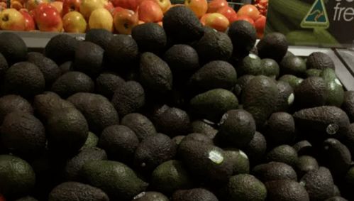 澳洲牛肉價(jià)格將上漲，果蔬價(jià)格有望下跌 市場波動(dòng)背后的原因與展望