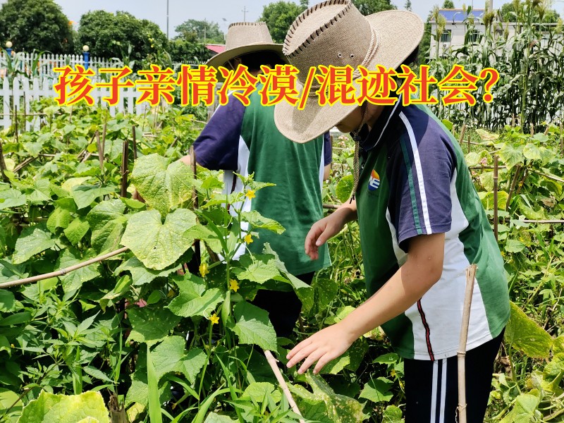 湖南正規叛逆學校：如何讓親情冷漠的孩子親情回溫？